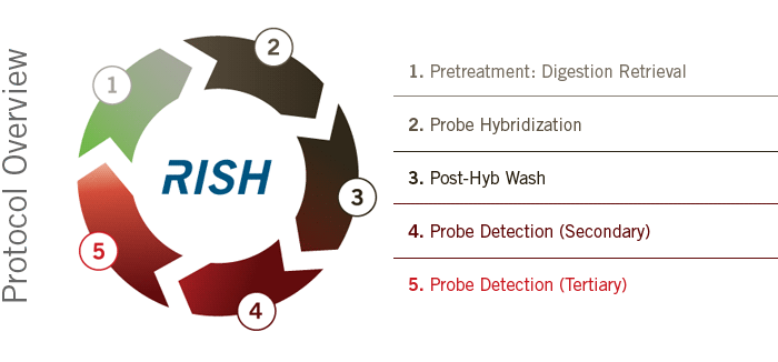 RISH Protocol Overview