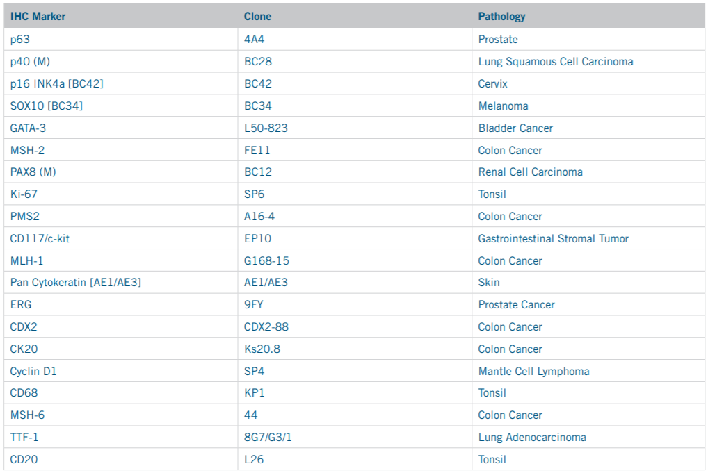 SLED 15 SP4  Administration Guide