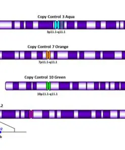 CytoFISH Multiplex FISH Probe