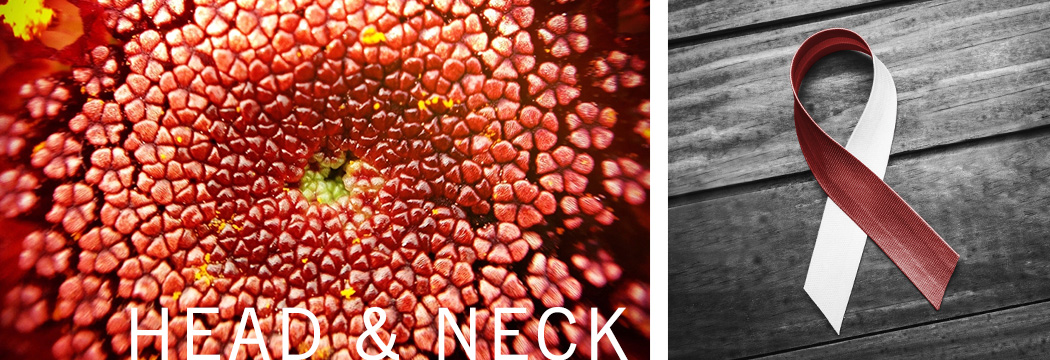 Head & Neck Cancer Antibodies