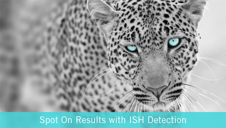 ish detection