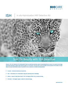 ISH HRP Detection Kit