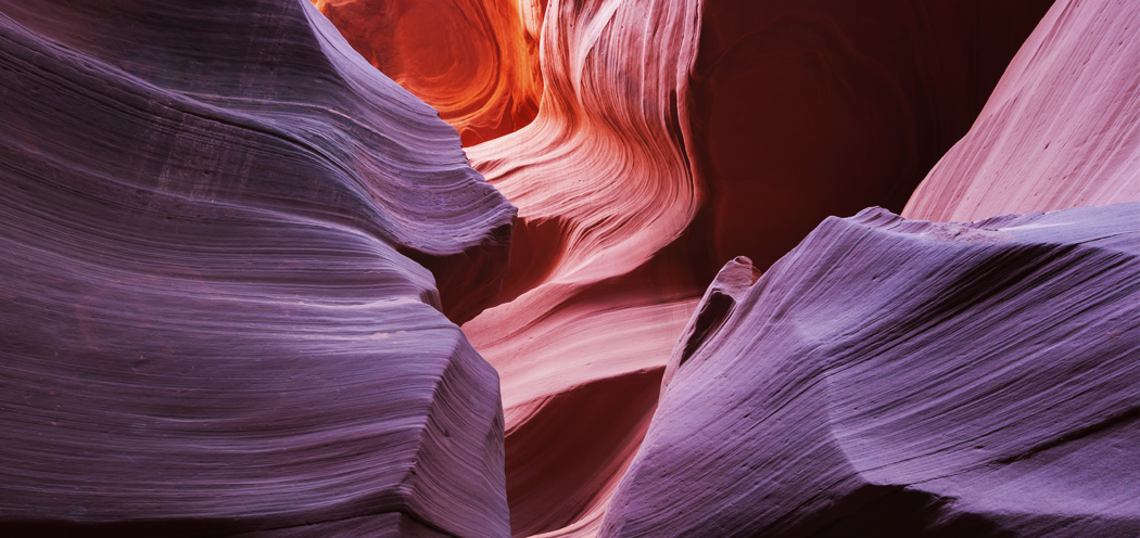 Colon Antibodies Biocare Medical