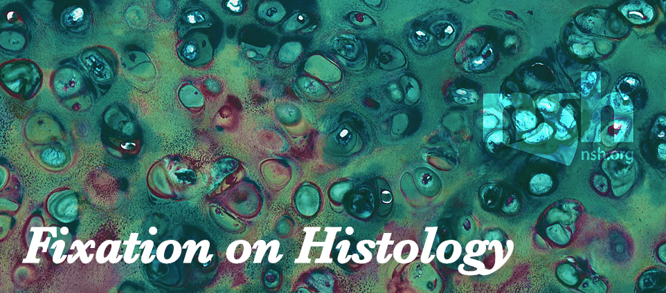 fixation-on-histology