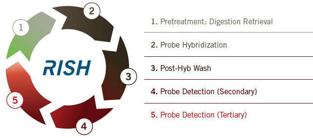 RISH Protocol Overview